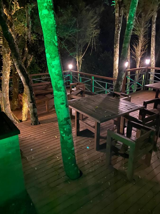 2 SUITE, 1 DORMITORIO EM MEIO A MATA ARAUCARIA A 1,5 Km Centro, ALTOS DE GRAMADO Gramado Exterior foto