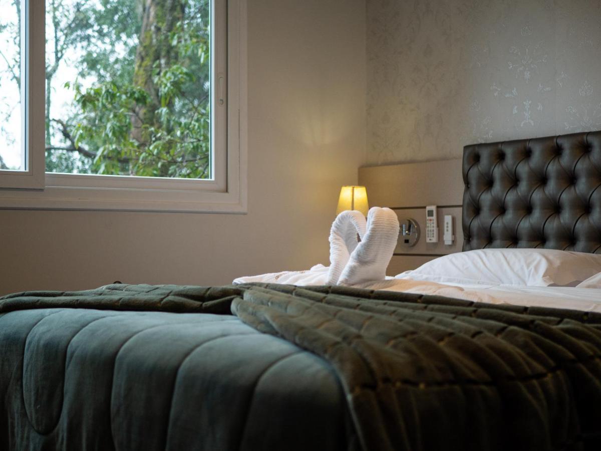 2 SUITE, 1 DORMITORIO EM MEIO A MATA ARAUCARIA A 1,5 Km Centro, ALTOS DE GRAMADO Gramado Exterior foto
